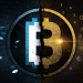 Introducing Your Startup To The Crypto World