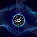 WHAT IS CARDANO?