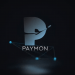 Multifunctional Blockchain Platform Paymon is lunching an ICO